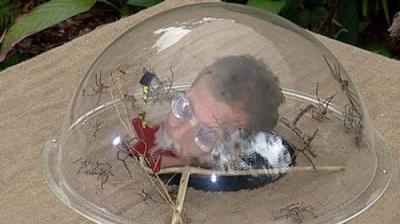 I'm a Celebrity...Get Me Out of Here!
