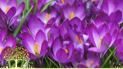 Gardeners' World