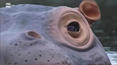 Superquark