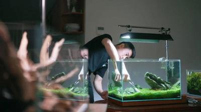 Gardening Australia
