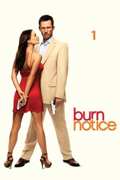 Burn Notice filmas online