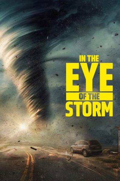 In the Eye of the Storm filmas online