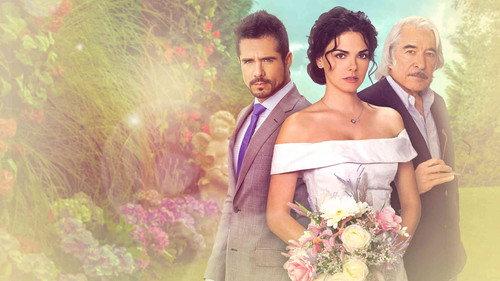 Itališka meilė filmas žiurėti online