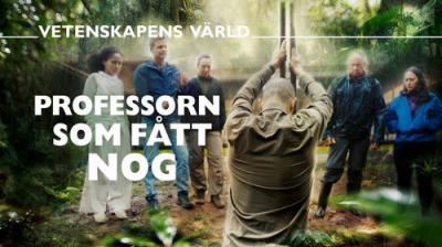 Vetenskapens värld