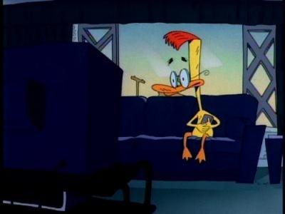 Duckman