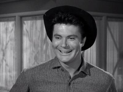 The Beverly Hillbillies