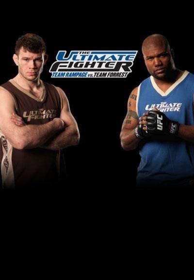 The Ultimate Fighter filmas online