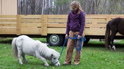 The Incredible Dr. Pol
