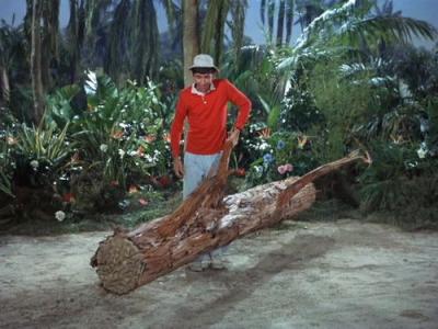 Gilligan's Island