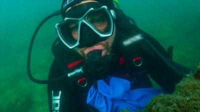 Celebrity Hunted : Chasse à l'homme