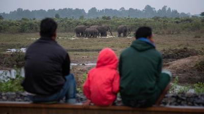 Foreign Correspondent