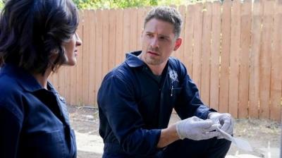 CSI: Las Vegasas
