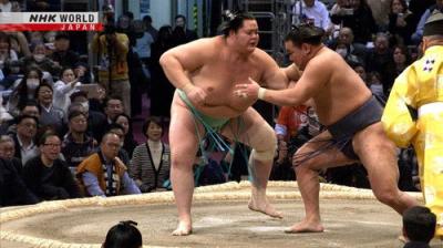 GRAND SUMO Highlights