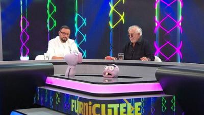 Furnicuțele