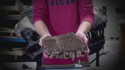 Mysteries Unearthed with Danny Trejo