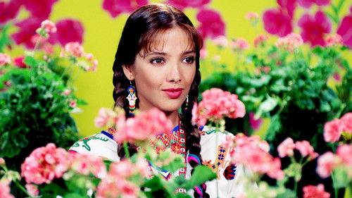 María Isabel filmas žiurėti online