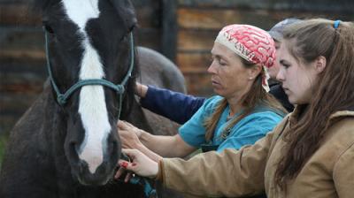 Dr. Oakley, Yukon Vet