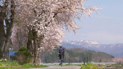 Cycle Around Japan