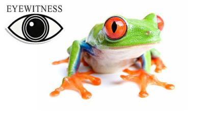 Eyewitness