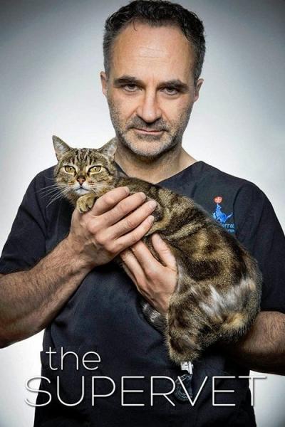 The Supervet: Noel Fitzpatrick filmas online