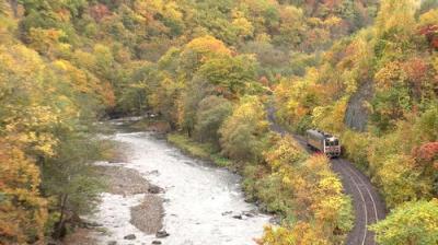 Train Cruise