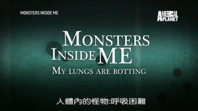 Monsters Inside Me
