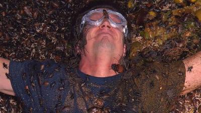 I'm a Celebrity...Get Me Out of Here!