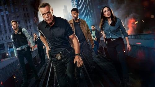 Čikagos policija filmas žiurėti online