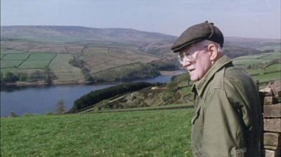 Last of the Summer Wine