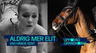 Uppdrag granskning sommar
