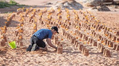 The Amazing Race Australia