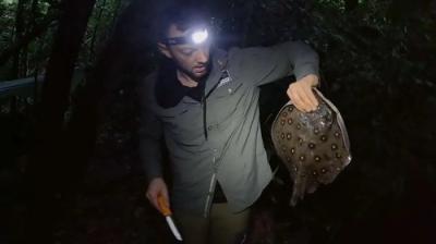 7 vs. Wild