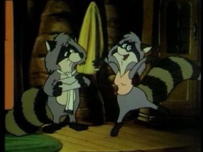 The Raccoons