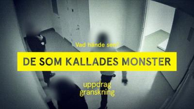Uppdrag granskning sommar