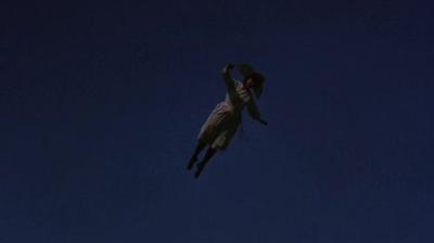 The Flying Nun