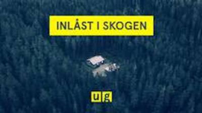 Uppdrag granskning