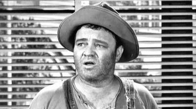 The Andy Griffith Show