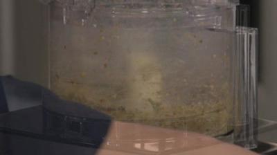 America's Test Kitchen