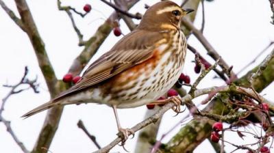 Countryfile
