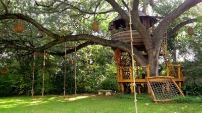 Treehouse Masters
