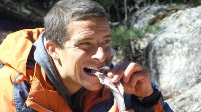 Man vs. Wild