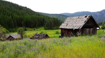 Murder Comes To Town