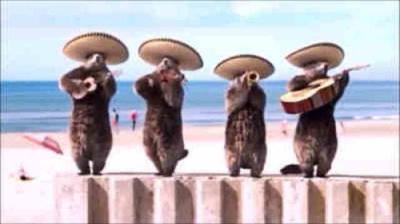 Les Marmottes