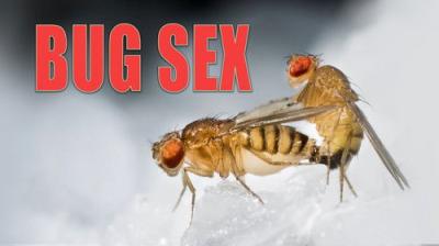 The Nature of Things