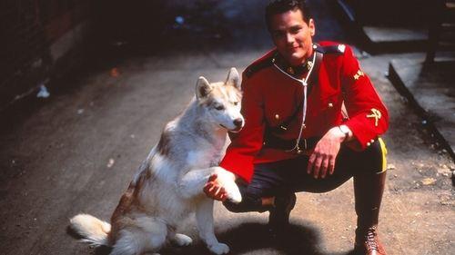 Due South filmas žiurėti online