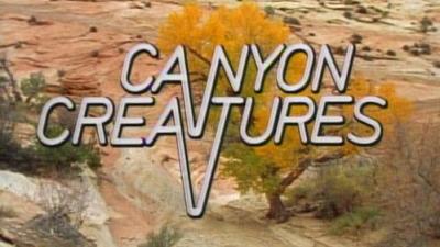 Marty Stouffer's Wild America