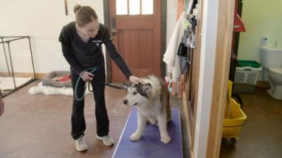 Dr. Oakley, Yukon Vet