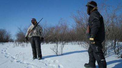Life Below Zero