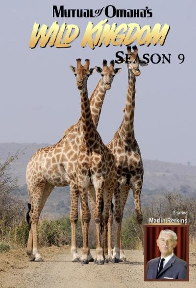 Mutual of Omaha's Wild Kingdom filmas online