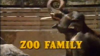 Zoo Family